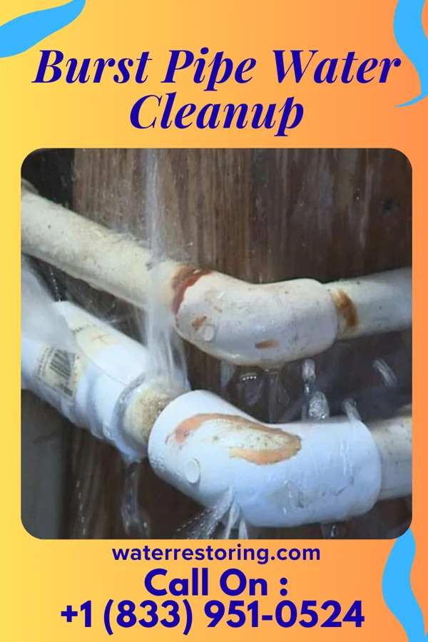 Burst Pipe Water Cleanup in Jackson, NC