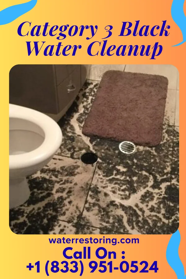 Category 3 Black Water Cleanup in Jackson, NC