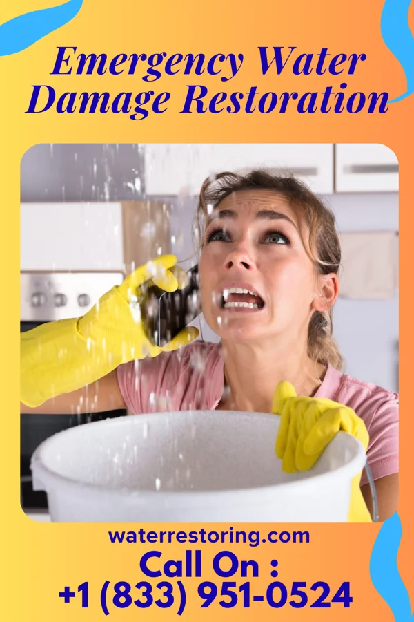 Emergency Water Damage Restoration in Jackson, NC