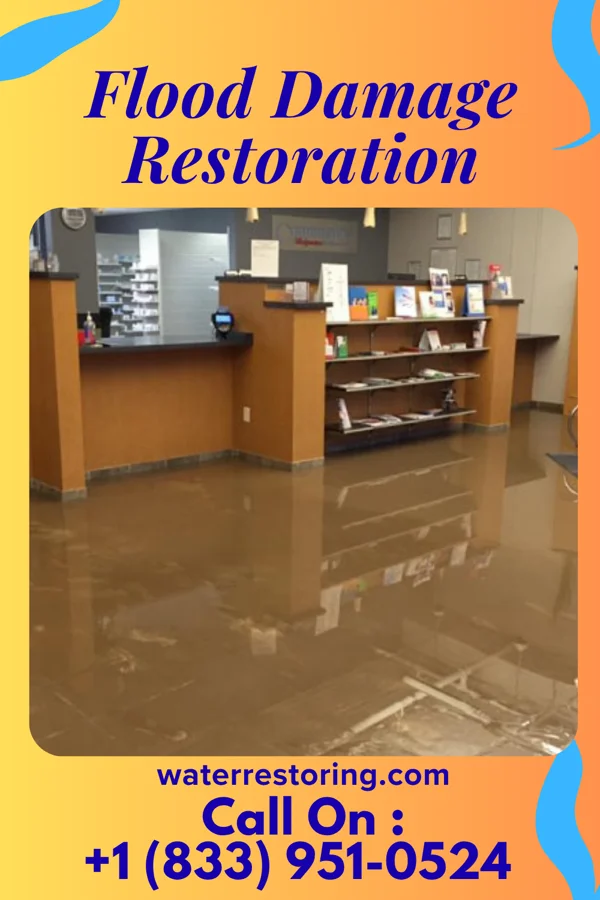 Flood Damage Restoration in Jackson, NC