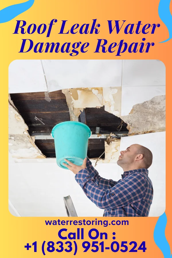 Roof Leak Water Damage Repair in Jackson, NC