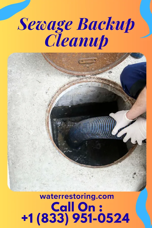 Sewage Backup Cleanup in Jackson, NC