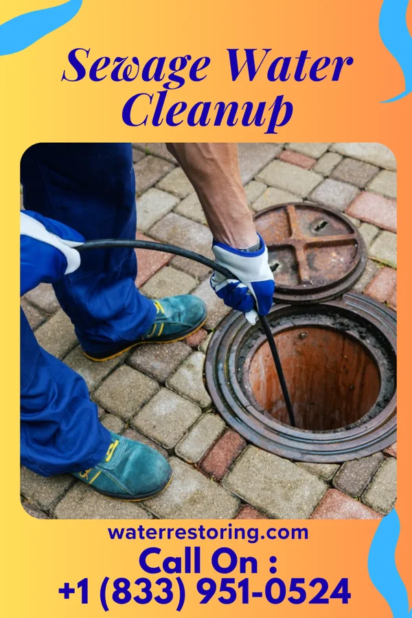 Sewage Water Cleanup in Jackson, NC