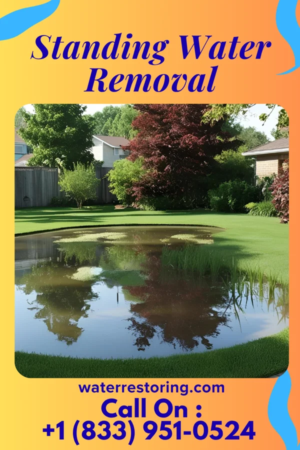 Standing Water Removal in Jackson, NC